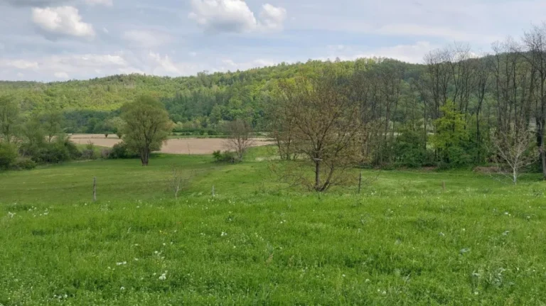 Slikoviti pogled na zelenu livadu s raznim drvećem, od kojih neka imaju rijetko lišće, pod djelomično oblačnim nebom. U pozadini se nalaze brežuljci prekriveni gustim zelenilom, stvarajući miran i prirodan krajolik.