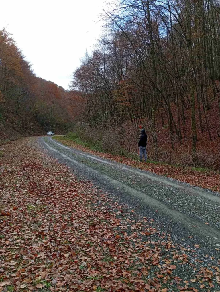 Osoba stoji uz rub zakrivljene ceste prekrivene lišćem u mirnom šumskom okruženju tijekom jeseni. Put je obrubljen golim drvećem, au daljini se vidi parkirani automobil. Scena prikazuje miran, prirodan krajolik.